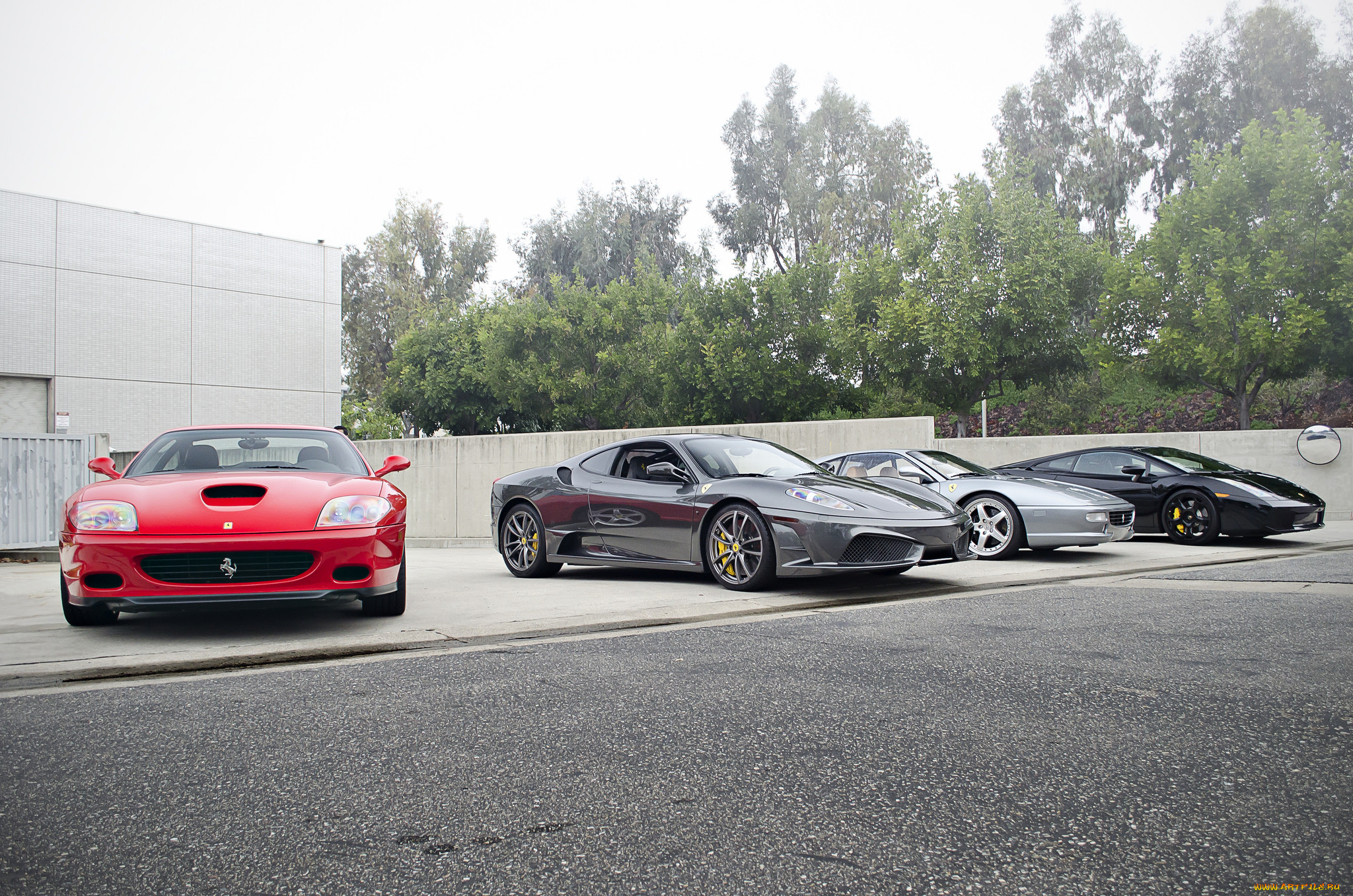 ferraris   lamborghini, ,  , ferrari, , , , s, p, a